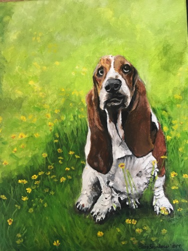 Basset -in -field - Acrylic 11x14
